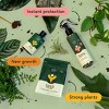 House Plant Care Essentials Kit - WE THE WILD - image 2 of 4