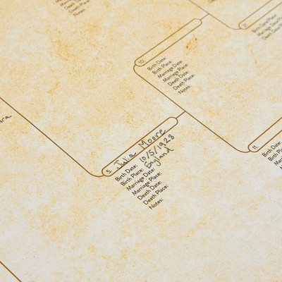 Okuna Outpost 15 Pack Family Tree Charts to Fill In, Blank Eight Generation Genealogy Poster, 17 x 22 In
