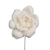 Vickerman 4" Natural Botanicals Dried Sola Flower on Wire Stem - 4 of 4