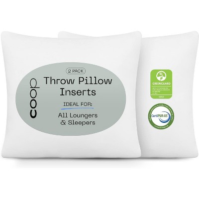 Foam throw pillow inserts sale