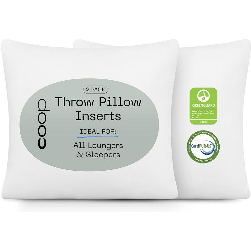 Coop Home Goods - Set of 2 Decorative Throw Pillows Inserts, Memory Foam Fill, Machine Washable, Perfect For Sofa, Bed, Living Room, Bedroom, 1 of 8