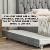 Lyngins Modern Upholstered Bed Frame with Tufting, Queen Size Beds with Headboards, Pull-Out Twin Trundle, 2 Storage Drawers, No Box Spring Needed - 3 of 4