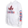 Mens Molson Canadian Classic Logo Hoodie - 2 of 4