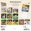 BrownTrout Golden Retrievers 2026 12"x24" Hanging Square Wall Calendar Plastic-Free - 2 of 4