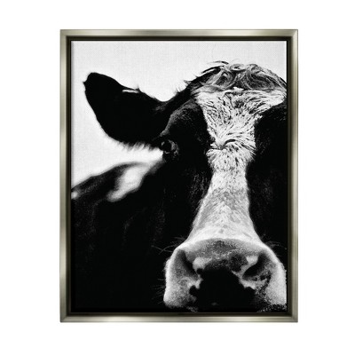 Stupell Industries Cow Black And White Close Up