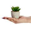 Juvale 6 Pack Artificial Succulent Plants with Pots for Office Desk, Faux Indoor Mini Cactus Decor for Home (2.7 to 4 in) - 3 of 4