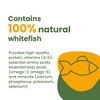 Almo Nature: HQS Natural Kitten Whitefish W/ Mackerel In Broth Can Food, 24 Pack - image 2 of 4