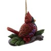Jim Shore 2.75 In Cardinal On Branch Ornament Heartwood Creek Tree Ornaments - 2 of 3