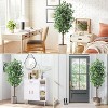 Artificial Ficus Tree 2 Pack, 1008 Flat Leaves Faux Plant with Black Nursery Pot, 2-Trunk Fake Ficus Tree for Home Office Indoor Outdoor Decoration - 2 of 4