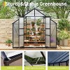 GustoWave 8x16 ft Outdoor Polycarbonate Walk-In Greenhouse Perfect for Backyard or Garden Use. - 4 of 4