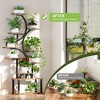 KTMBDW Plant Stand Indoor with Grow Lights - Plant Shelf Indoor with 5 Grow Lights, 10-Level Stepless Dimming, Plant Rack, Brown - 4 of 4
