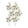 Melrose Flocked Protea Spray (Set of 6) - 2 of 3