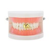 Unique Bargains Hip Hop Rhinestone Design Fake Grills 1 Pc - 2 of 4