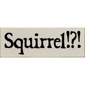 Slickblue Squirrel!? Text Sign, 3.5x10 Rustic Pine Wood Plaque, Hanging or Shelf Decor Sign, Multiple Colors - 1 of 3