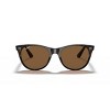 Ray-Ban RB2185 55mm Unisex Round Sunglasses Polarized - 2 of 4