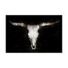 Trademark Fine Art -Phburchett  'Cow Skull' Canvas Art - 2 of 4