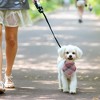 Unique Bargains Dog Bandanas with Tassels Edges 2 Pcs - 3 of 4