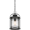Booker 1-Light Mystic Black Outdoor Hanging Lantern - 3 of 4