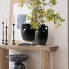 LuxenHome Black Jug 10-Inch Tall Terracotta Vase with Two Handles - 3 of 4