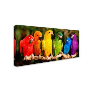 Trademark Fine Art -Mike Jones Photo 'Rainbow Parrots' Canvas Art