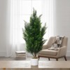 2 Pack Artificial Cedar Topiary Trees, Potted Fake Spiral Topiary Plants for Outdoor/Indoor Decor - 4 of 4