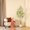 DR.Planzen 5-7FT Artificial Ficus Tree with Small Leaves in White Pot - Pre Potted Faux Tree for Indoor Home Decor - 2 of 4