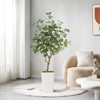 Artificial Tree in Pot with Realistic Leaves & Natural Wood Trunk - image 3 of 4