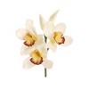 Floral Home 10" Cream Cymbidium Pick - 12-Piece - 2 of 2