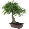 Northlight 18" Bonsai Artificial Potted Plant - Green/Brown - 4 of 4