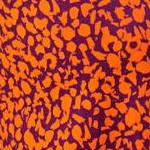 spice papaya abstract