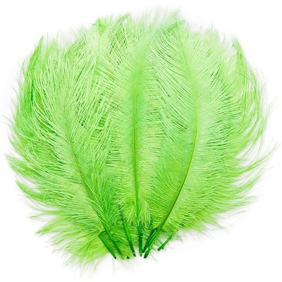Bright Creations 12 Pack Green Ostrich Feather Plumes 12 14 Inches for Crafts, Home, Wedding & Party Decorations