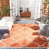 Courtyard CY6243 Power Loomed Indoor and Outdoor Rug - Safavieh - 2 of 4