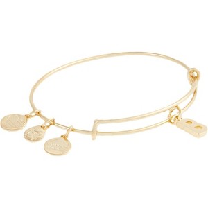 Alex and Ani Expandable Bangle for Women, Initials A to Z Letter Charms, Shiny Finish, 2 to 3.5 in - 1 of 4
