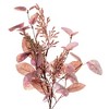 Vickerman 5' Dusty Rose Artificial Fall Eucalyptus and Berry Garland. - 2 of 4