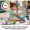 Fisher-Price Glow & Grow Kick and Play Gym - Blue - 4 of 4