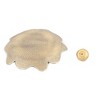 Unique Bargains Household Metal Flower Designed Incense Burner Holder Bronze Tone 3.5" Dia Set - 3 of 4