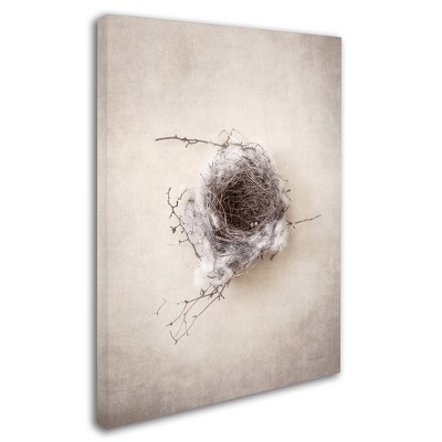 Trademark Fine Art -Debra Van Swearingen 'Nest III' Canvas Art