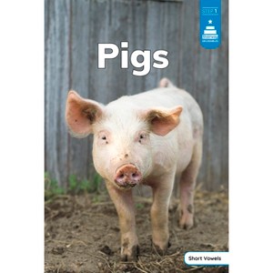 Pigs - (Stairway Decodables Nonfiction Step 1) by  Haley Williams (Paperback) - 1 of 1