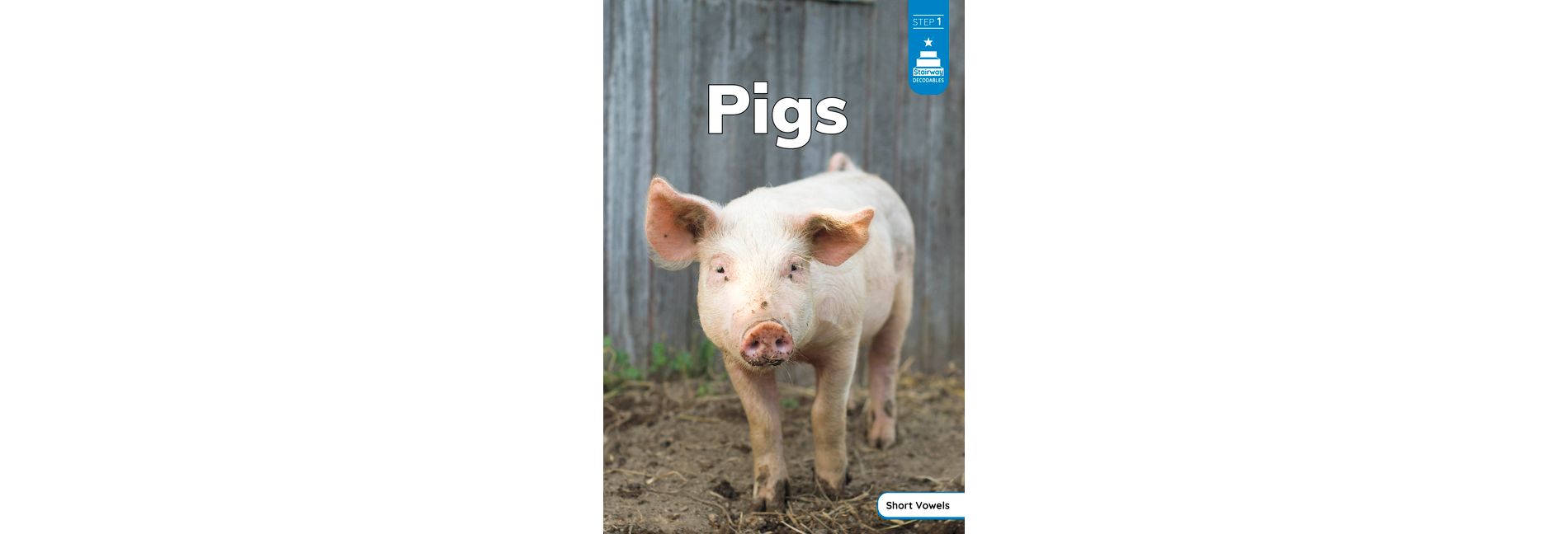 Pigs - (Stairway Decodables Nonfiction Step 1) by  Haley Williams (Paperback)