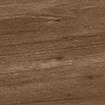 carbonized