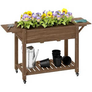 Outsunny Raised Garden Bed, Wood Elevated Planter Box with Lockable Wheels, Side Tables, Bottom Shelf, Bed Liner and Drainage Holes - 1 of 4