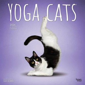 BrownTrout Yoga Cats 2026 12"x24" Hanging Square Wall Calendar Plastic-Free - 1 of 4