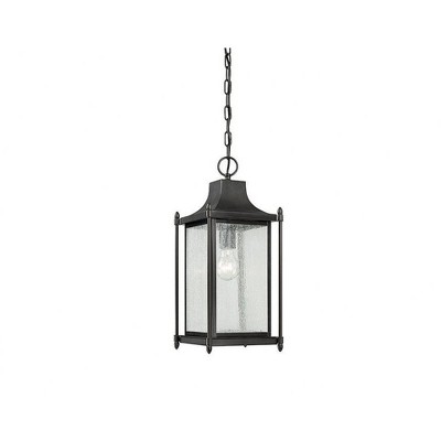 Dunnmore Black and Clear Glass Outdoor Hanging Lantern