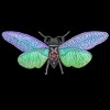 Junior's Design By Humans Botanical Watercolor Cicada By MisoKnotty T-Shirt - 2 of 2