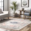 Nuloom Chase Faded Vintage Medallion Indoor Area Rug - 2 of 4