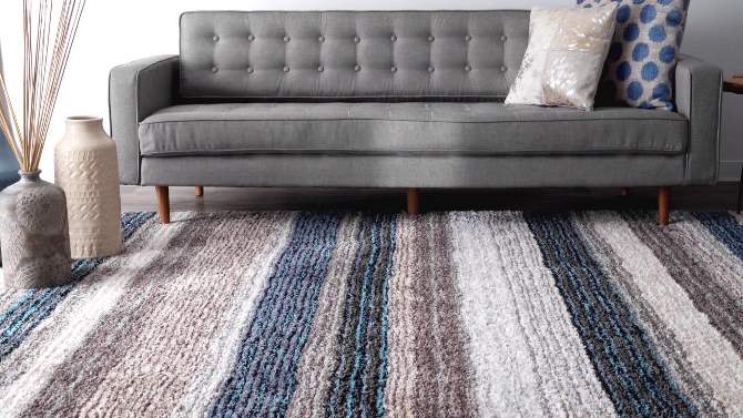 Drey Ombre Shag Area Rug - nuLOOM, 6 of 7, play video