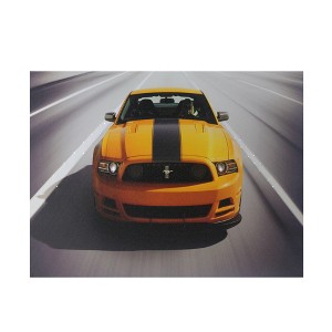 Northlight Fiber Optic and LED Lighted 2013 Ford Mustang Boss 302 Canvas Wall Art 12" x 15.75" - 1 of 3