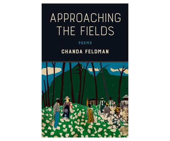 Approaching the Fields : Poems -  by Chanda Feldman (Paperback)