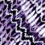 vintage lavender bias stripe