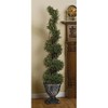 Design Toscano Spiral Topiary Tree Collection: Small - 2 of 4